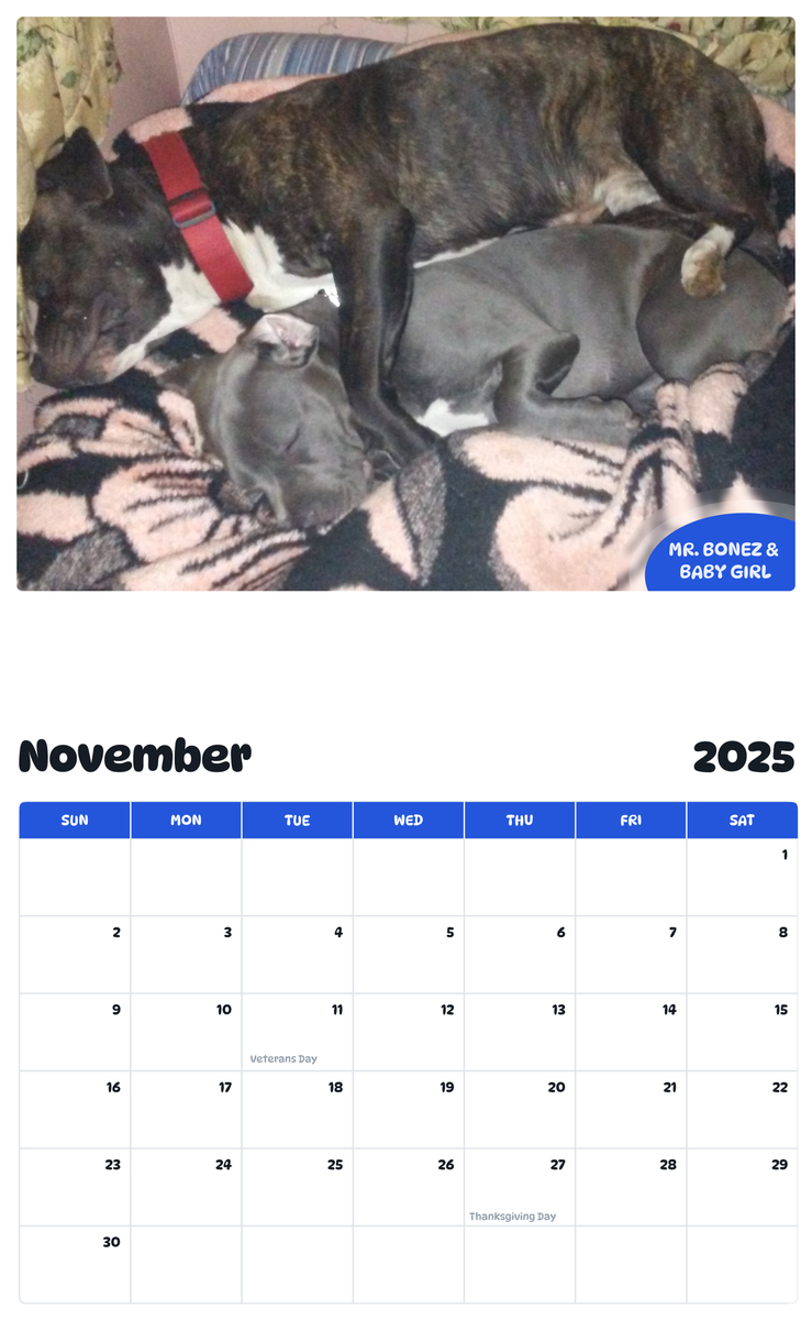 July 2025 - June 2026 Mr. Bonez & Baby Girl - Pawidols Pet Calendar