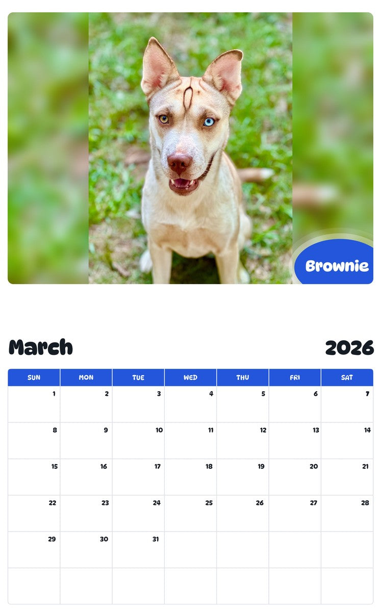 November 2025 - October 2026 Brownie - Pawidols Pet Calendar