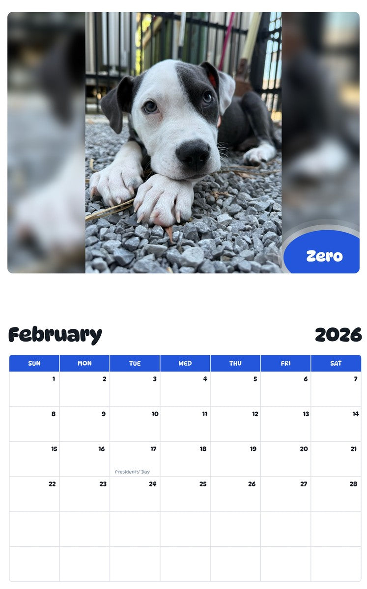 November 2025 - October 2026 Zero - Pawidols Pet Calendar