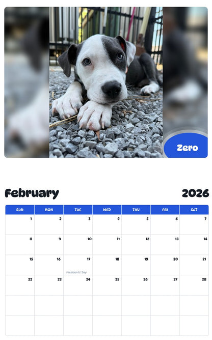 November 2025 - October 2026 Zero - Pawidols Pet Calendar