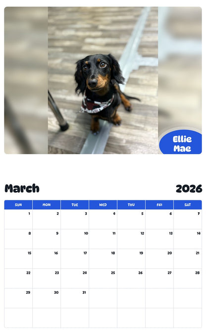 November 2025 - October 2026 Ellie Mae - Pawidols Pet Calendar