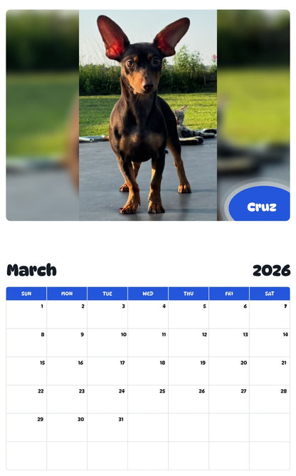 November 2025 - October 2026 Cruz - Pawidols Pet Calendar