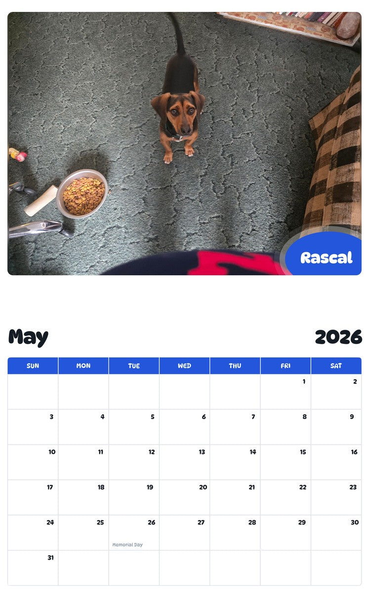 2026 - 2027 Rascal - Pawidols Pet Calendar