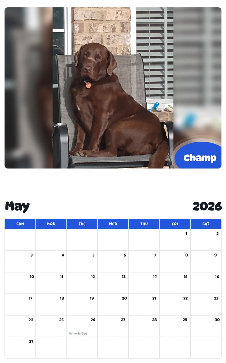 2026 - 2027 Champ - Pawidols Pet Calendar