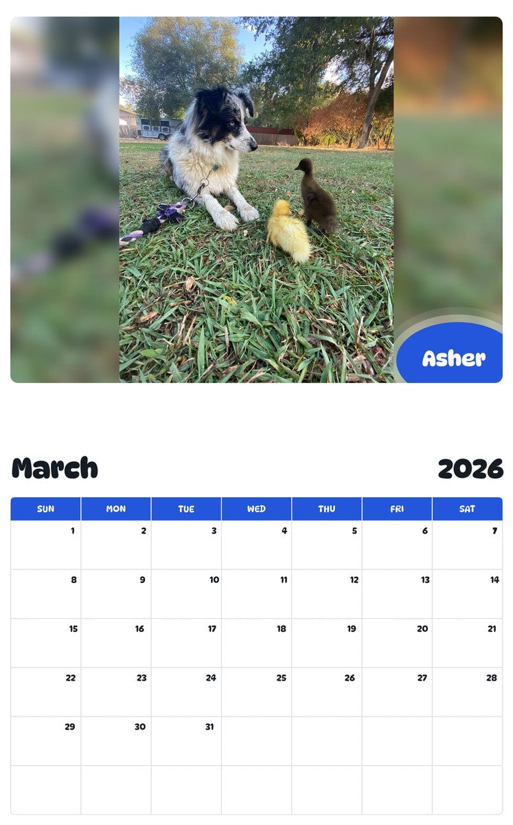 November 2025 - October 2026 Asher - Pawidols Pet Calendar