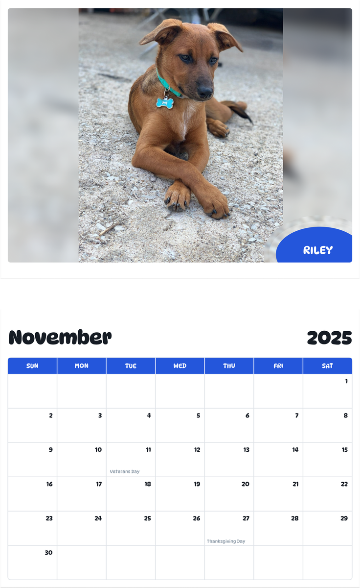 July 2025 - June 2026 Riley - Pawidols Pet Calendar