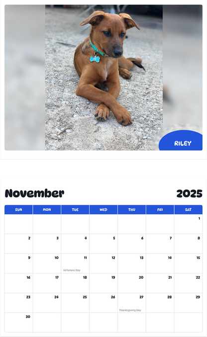 July 2025 - June 2026 Riley - Pawidols Pet Calendar