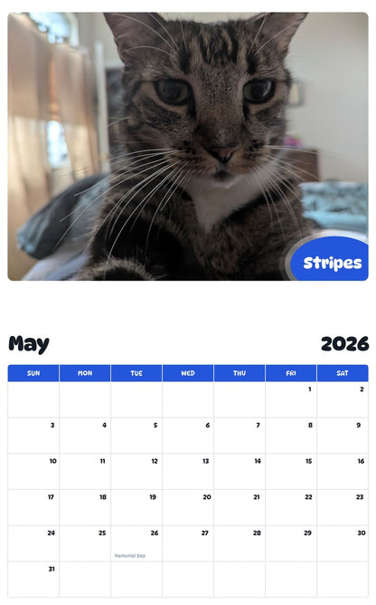 2026 - 2027 Stripes - Pawidols Pet Calendar