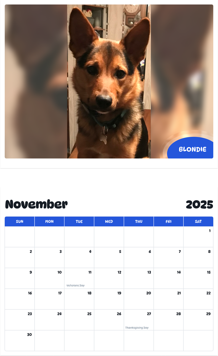 July 2025 - June 2026 Blondie - Pawidols Pet Calendar