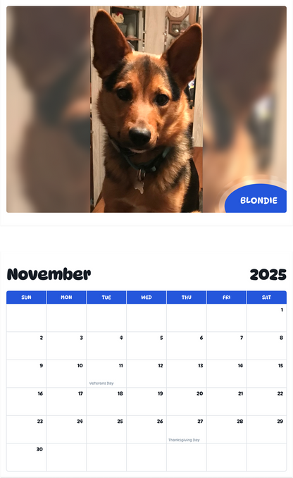 July 2025 - June 2026 Blondie - Pawidols Pet Calendar