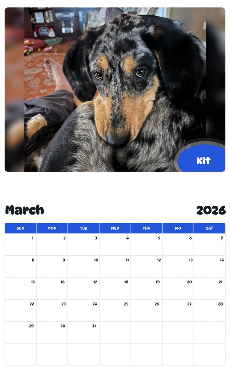 November 2025 - October 2026 Kit - Pawidols Pet Calendar