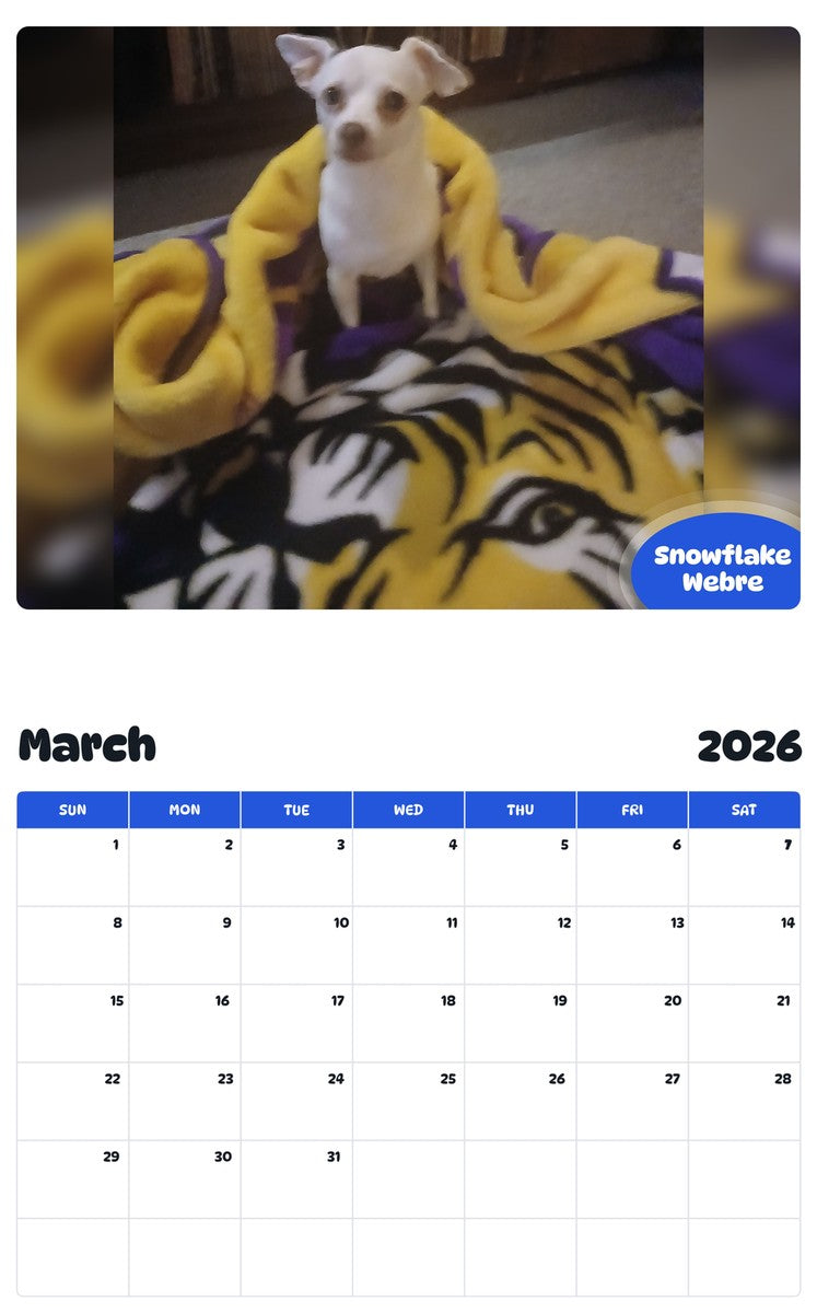 November 2025 - October 2026 Snowflake Webre - Pawidols Pet Calendar