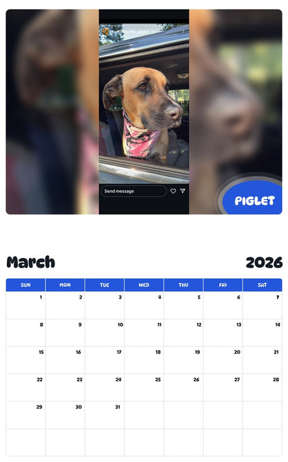 November 2025 - October 2026 PIGLET - Pawidols Pet Calendar