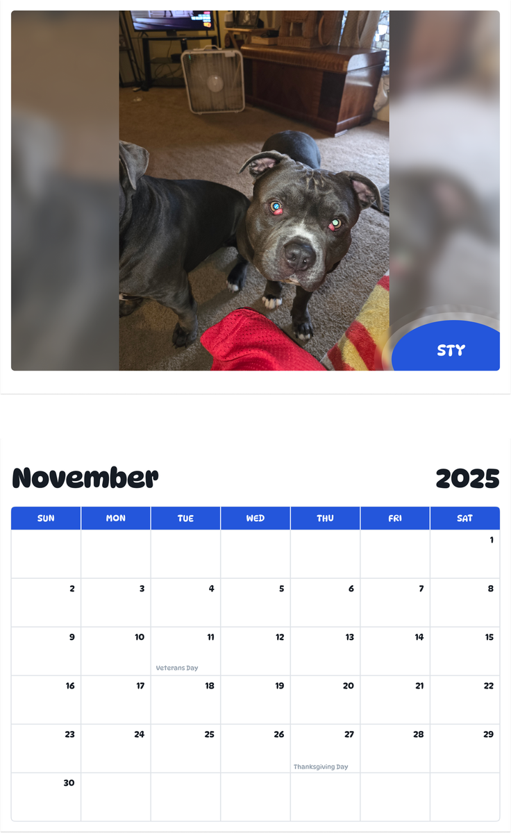 July 2025 - June 2026 Sty - Pawidols Pet Calendar