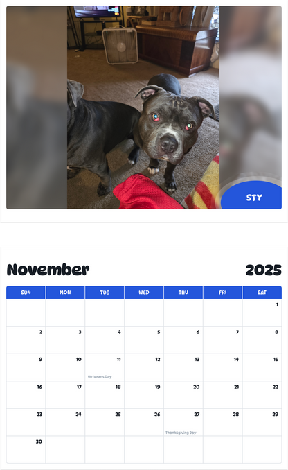 July 2025 - June 2026 Sty - Pawidols Pet Calendar