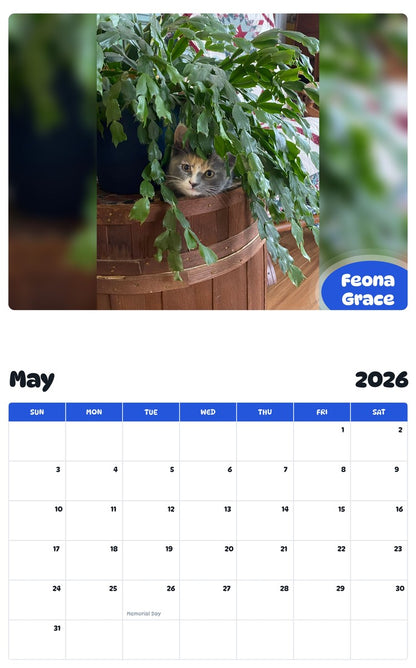 2026 - 2027 Feona Grace - Pawidols Pet Calendar
