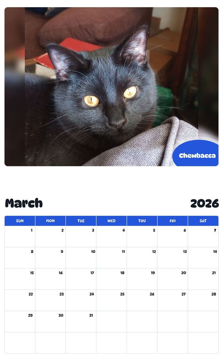 November 2025 - October 2026 Chewbacca - Pawidols Pet Calendar