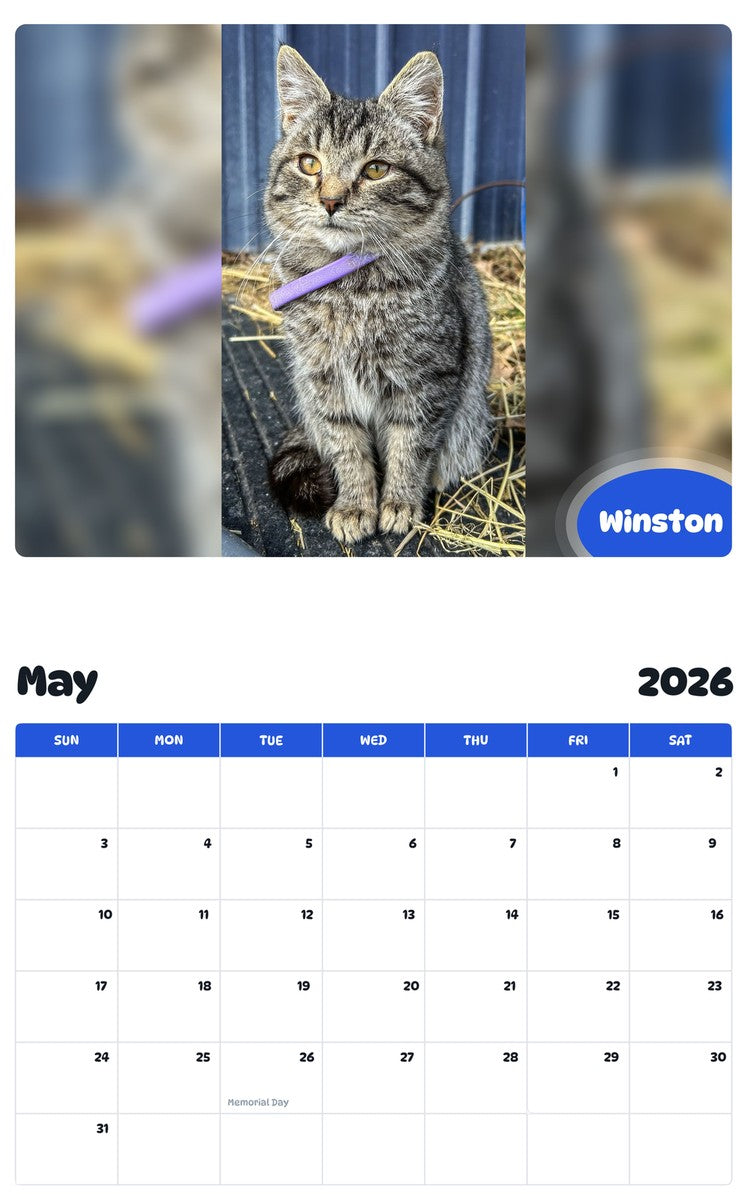 2026 - 2027 Winston - Pawidols Pet Calendar