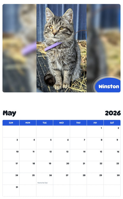 2026 - 2027 Winston - Pawidols Pet Calendar