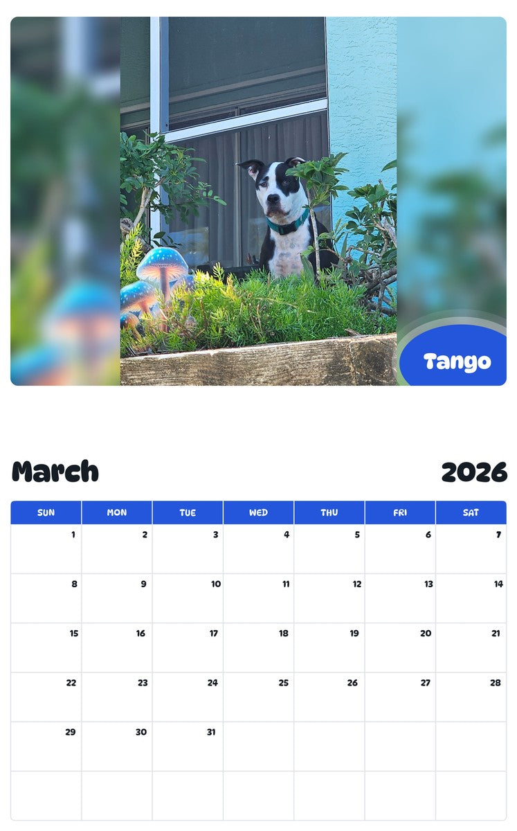 November 2025 - October 2026 Tango - Pawidols Pet Calendar