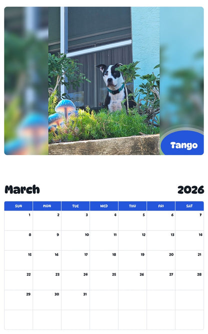 November 2025 - October 2026 Tango - Pawidols Pet Calendar