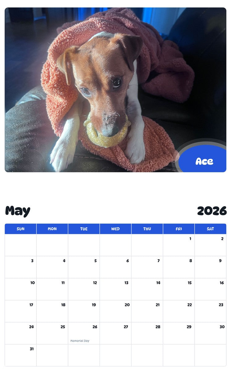 2026 - 2027 Ace - Pawidols Pet Calendar