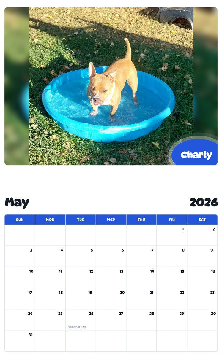 2026 - 2027 Charly - Pawidols Pet Calendar
