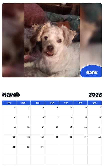 November 2025 - October 2026 Hank - Pawidols Pet Calendar