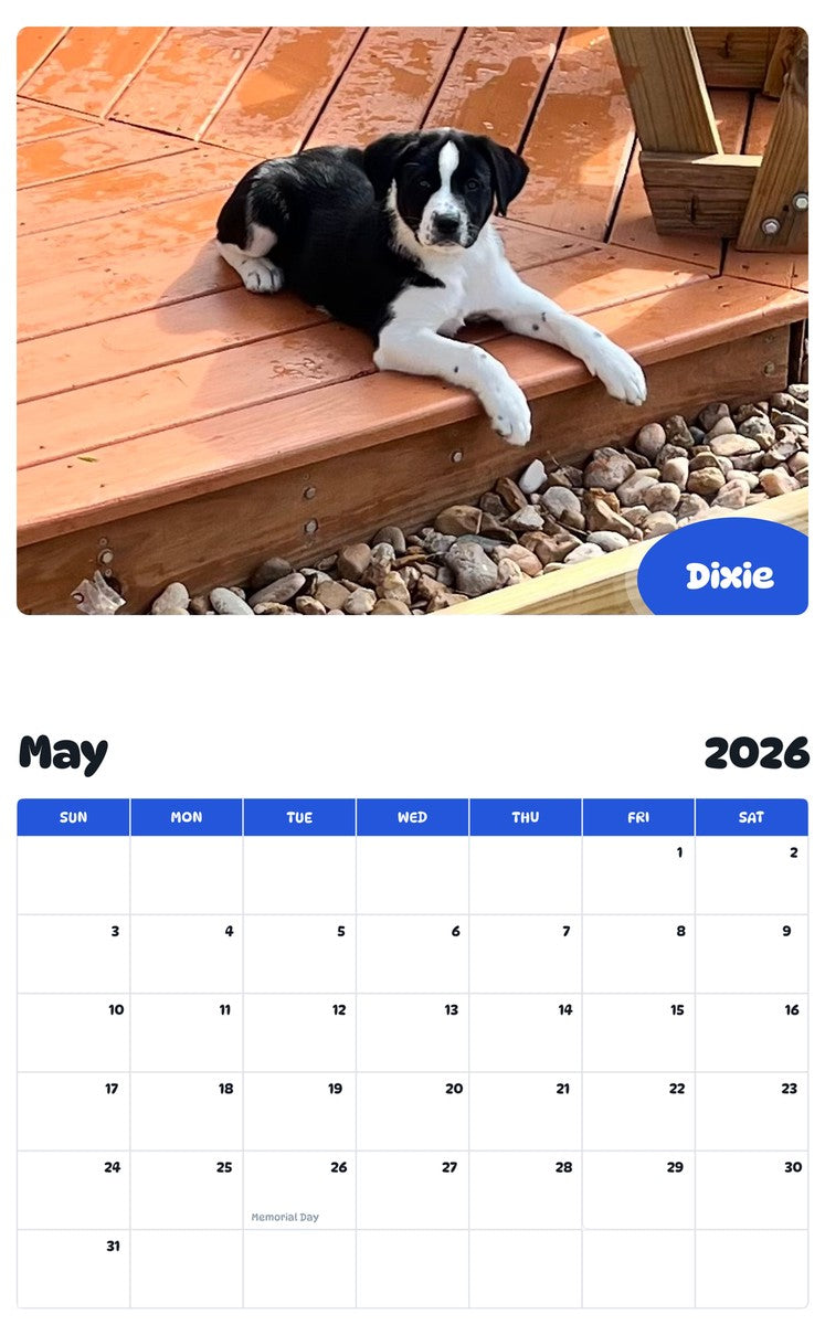 2026 - 2027 Dixie - Pawidols Pet Calendar