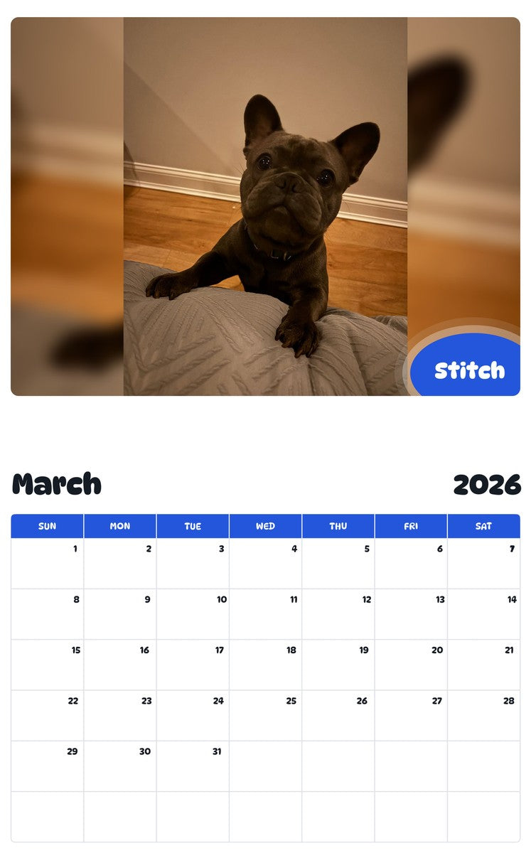 November 2025 - October 2026 Stitch - Pawidols Pet Calendar