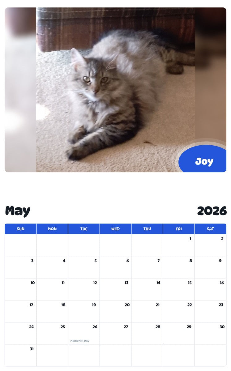 2026 - 2027 Joy - Pawidols Pet Calendar