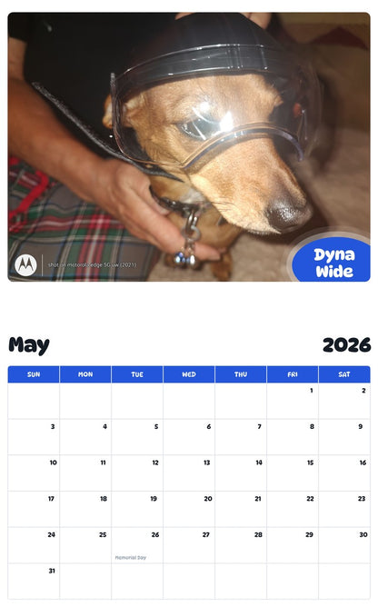 2026 - 2027 Dyna Wide - Pawidols Pet Calendar