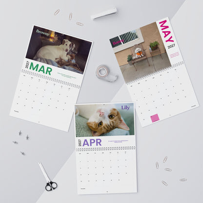 NEW Paw Calendar MIX September 2026 - August 2027