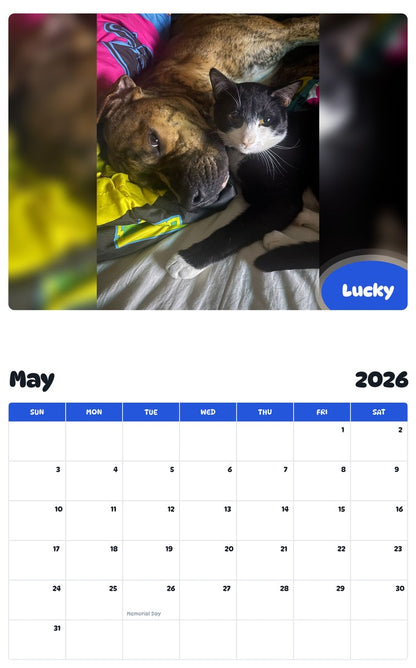 2026 - 2027 Lucky - Pawidols Pet Calendar