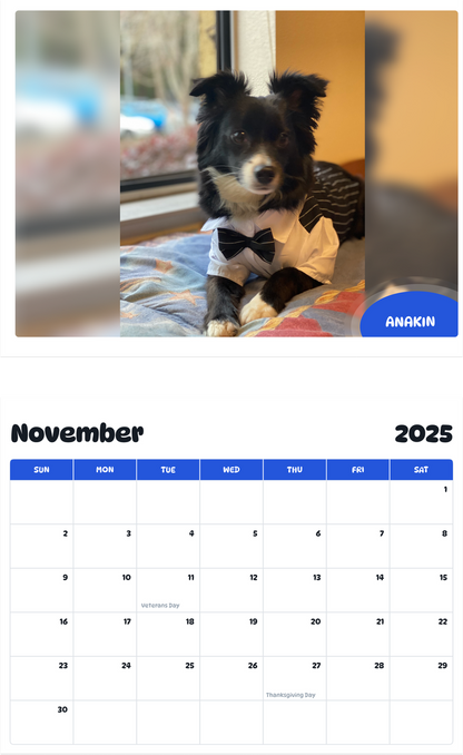 July 2025 - June 2026 Anakin - Pawidols Pet Calendar