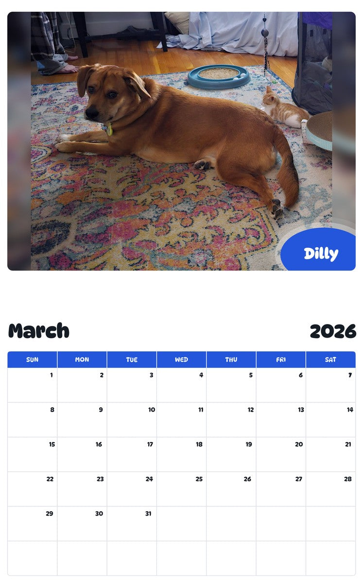 November 2025 - October 2026 Dilly - Pawidols Pet Calendar