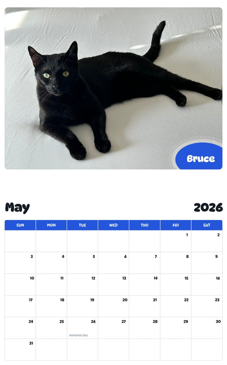 2026 - 2027 Bruce - Pawidols Pet Calendar