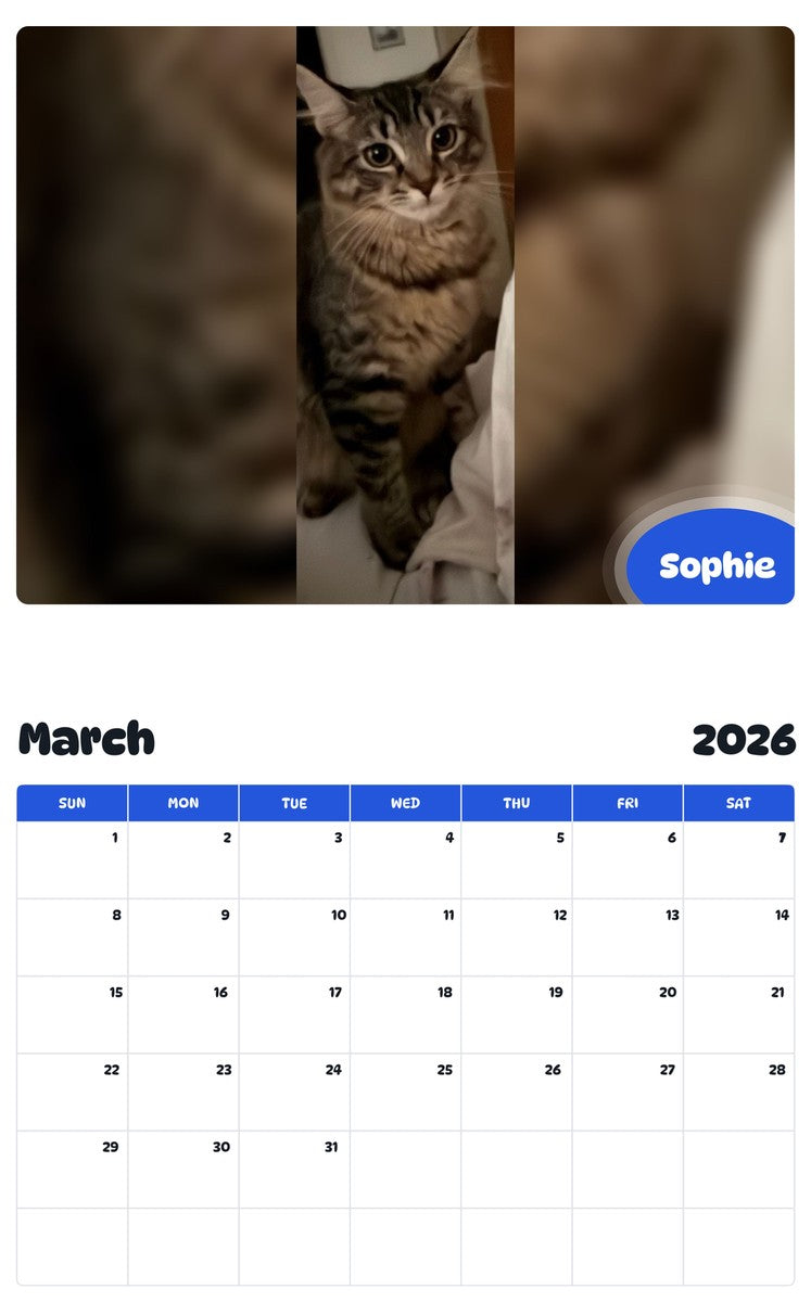 November 2025 - October 2026 Sophie - Pawidols Pet Calendar