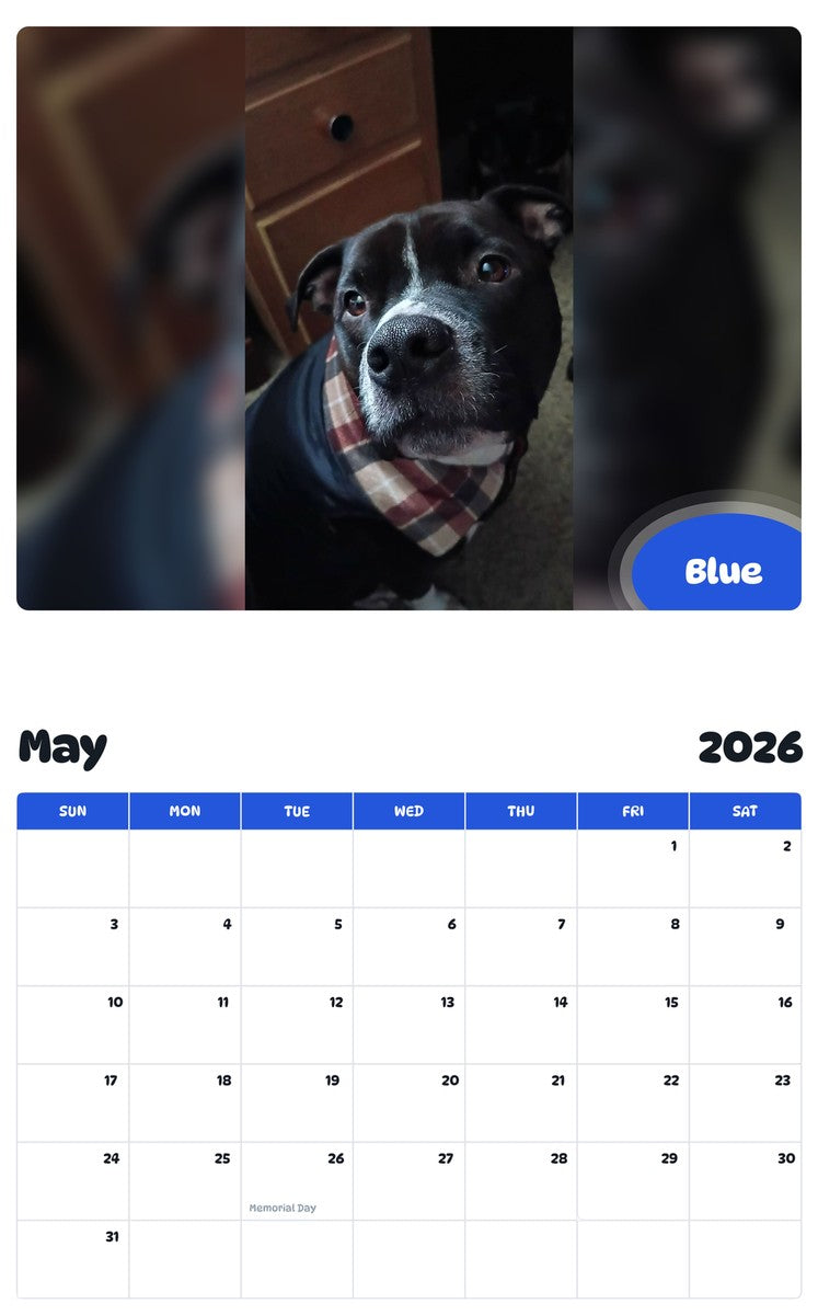 2026 - 2027 Blue - Pawidols Pet Calendar