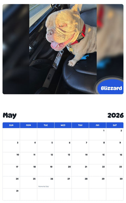 2026 - 2027 Blizzard - Pawidols Pet Calendar