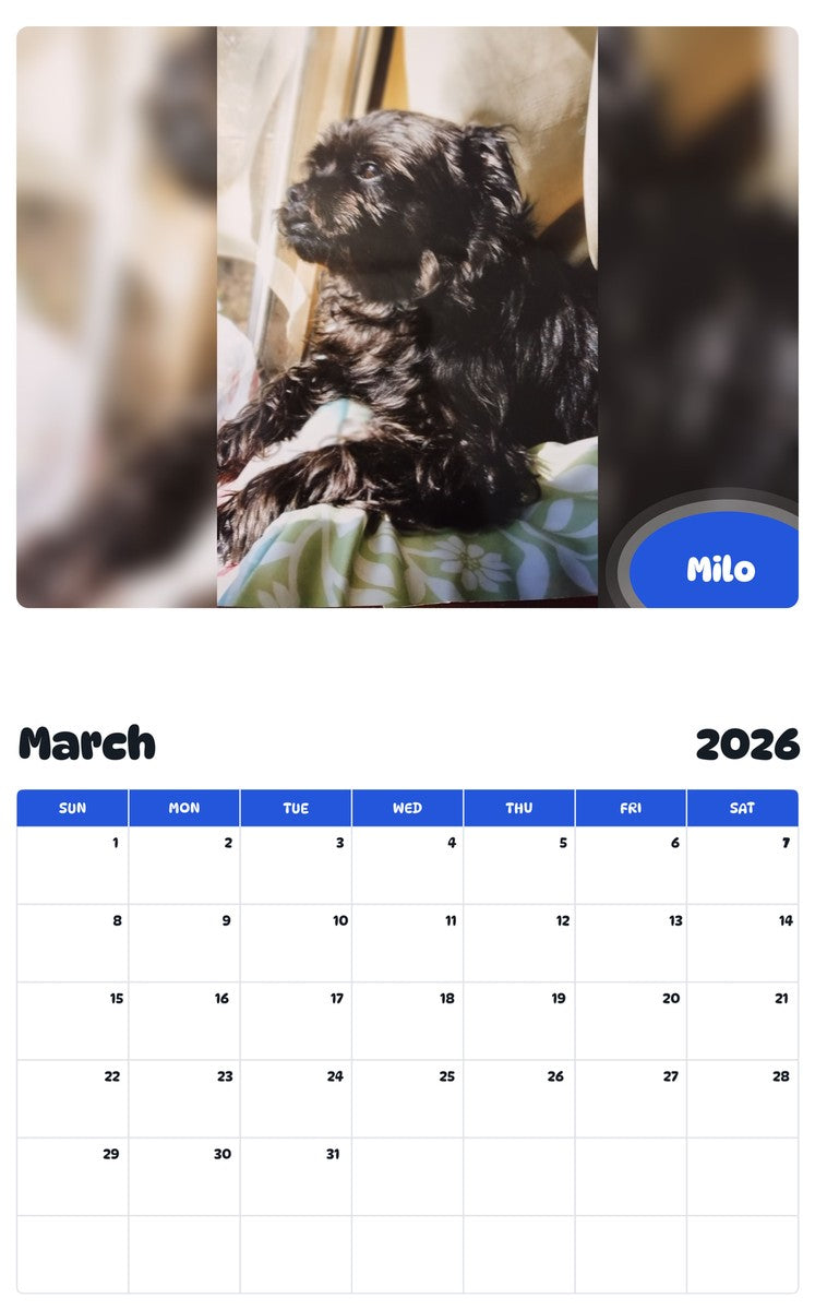 November 2025 - October 2026 Milo - Pawidols Pet Calendar