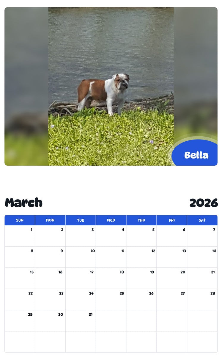 November 2025 - October 2026 Bella - Pawidols Pet Calendar