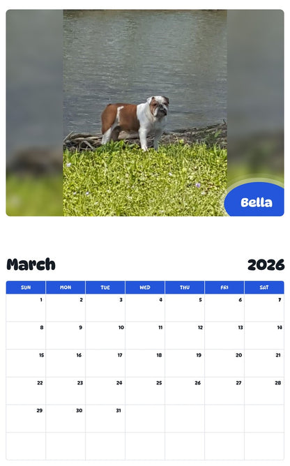 November 2025 - October 2026 Bella - Pawidols Pet Calendar