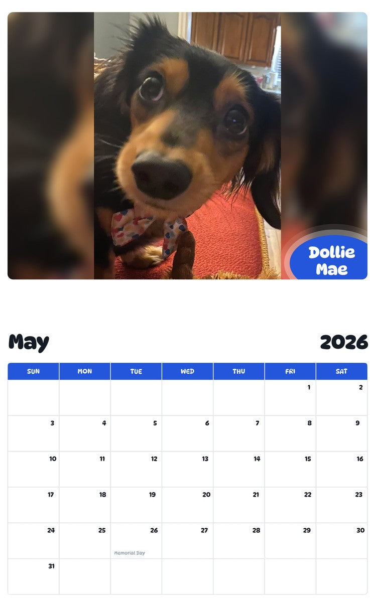 2026 - 2027 Dollie Mae - Pawidols Pet Calendar