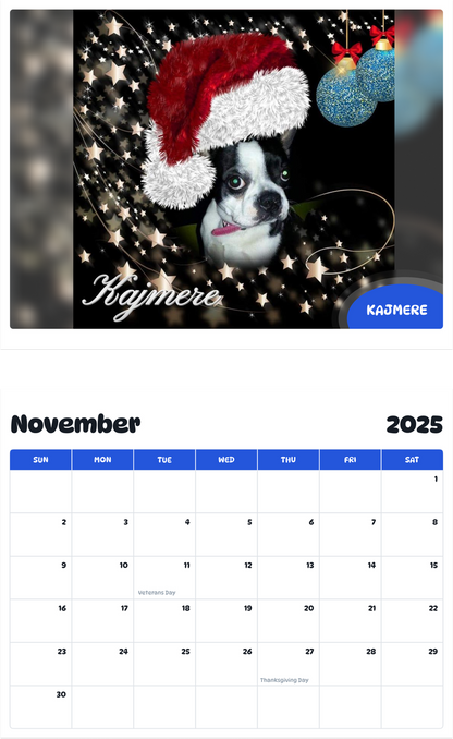 July 2025 - June 2026 Kajmere - Pawidols Pet Calendar