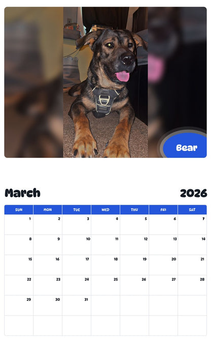 November 2025 - October 2026 Bear - Pawidols Pet Calendar