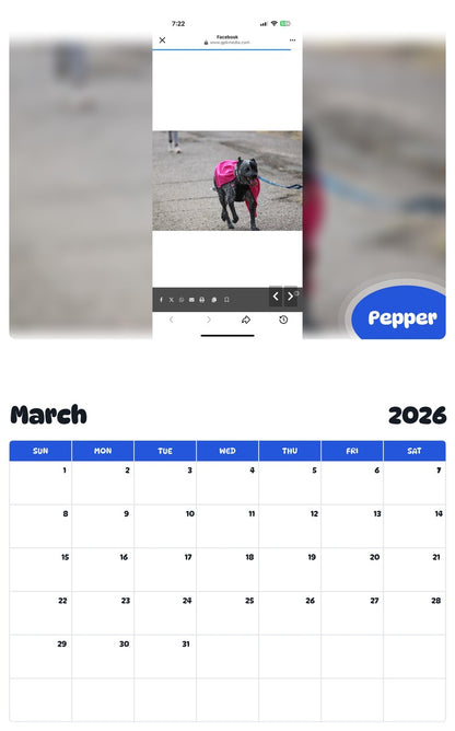 November 2025 - October 2026 Pepper - Pawidols Pet Calendar