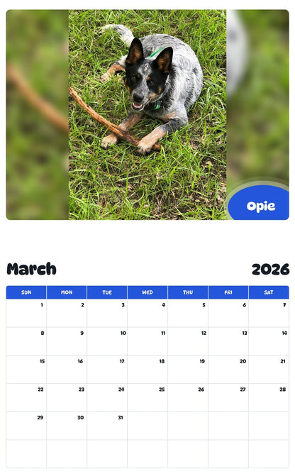 November 2025 - October 2026 Opie - Pawidols Pet Calendar
