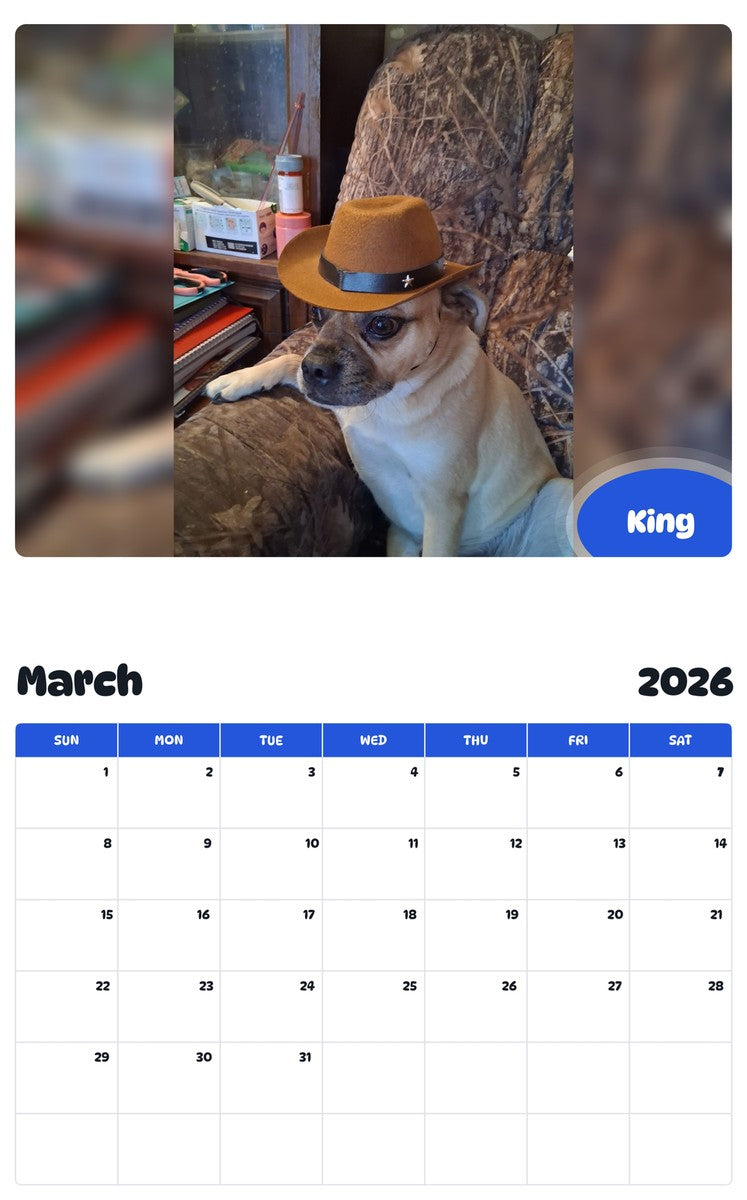 November 2025 - October 2026 King - Pawidols Pet Calendar