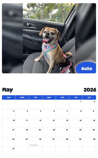 2026 - 2027 Bella - Pawidols Pet Calendar
